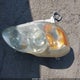 1NXBR32E64Z297956 2004 Toyota Corolla Le auction photo thumbnail 12