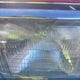 JT3VN39W1S0170990 1995 Toyota 4Runner Vn39 Sr5 auction photo thumbnail 6