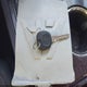 1GNKRGKD0HJ235034 2017 Chevrolet Traverse 1Lt auction photo thumbnail 11