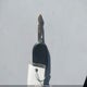 1FTPX14548FA84211 2008 Ford F-150 Fx4/Lariat/Xl/Xlt auction photo thumbnail 11