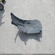 JN8AS5MV6BW287804 2011 Nissan Rogue S auction photo thumbnail 11