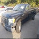 1FTMF1CWXAKE74369 2010 Ford F-150 Stx/Xl/Xlt auction photo thumbnail 2
