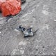 2GNFLCE3XE6274298 2014 Chevrolet Equinox 2Lt auction photo thumbnail 12