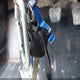 1HGCT1A37FA006207 2015 Honda Accord Lx-S auction photo thumbnail 11