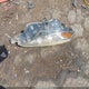5YFBURHE7HP660880 2017 Toyota Corolla Se auction photo thumbnail 11