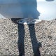 WDBWK54F37F139920 2007 Mercedes-Benz Slk 280 auction photo thumbnail 16