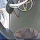 4T1BE46K79U879766 2009 Toyota Camry Le auction photo thumbnail 11