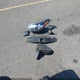 KNDPMCACXK7591980 2019 Kia Sportage Lx auction photo thumbnail 12