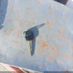 5NMSK4AG4AH394495 2010 Hyundai Santa Fe Limited V6 auction photo thumbnail 11