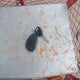 2CNDL23F586302757 2008 Chevrolet Equinox Ls auction photo thumbnail 8
