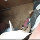 1GB6G5CG4F1232801 2015 Chevrolet Express Cutaway 4500 auction photo thumbnail 8