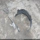 2G1WC5E30E1163642 2014 Chevrolet Impala Limited Ltz auction photo thumbnail 11