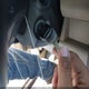 5FNYF48489B001833 2009 Honda Pilot Ex auction photo thumbnail 12