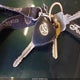 1NXBU40EX9Z084782 2009 Toyota Corolla S auction photo thumbnail 11