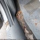 1YVHP84C075M51521 2007 Mazda Mazda6 I Sport Ve auction photo thumbnail 6