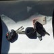 1FADP3F27FL362136 2015 Ford Focus Se auction photo thumbnail 11
