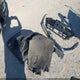 1HGCV1F1XLA066706 2020 Honda Accord Lx auction photo thumbnail 12