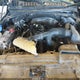 1FTEW1EP2KFA12845 2019 Ford F-150 Xlt auction photo thumbnail 10