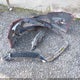 3FAHP0DCXBR229992 2011 Ford Fusion Sport auction photo thumbnail 12