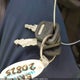 1FVHCYCY6GHHL5692 2016 Freightliner M2 106 Medium Duty auction photo thumbnail 10