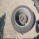 5NPE34AF0KH810158 2019 Hyundai Sonata Sport auction photo thumbnail 12