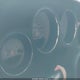 2C3CDYCJ6EH162338 2014 Dodge Challenger Srt-8 auction photo thumbnail 7