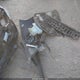 1N4BL4CW8NN403893 2022 Nissan Altima Sr Intelligent Awd auction photo thumbnail 11
