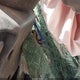1FD8X3GT3MED45849 2021 Ford F-350 Chassis Xl auction photo thumbnail 10