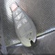 1J4RR5GT1BC606803 2011 Jeep Grand Cherokee Limited auction photo thumbnail 11