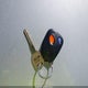 4S3BH686647612746 2004 Subaru Outback Limited auction photo thumbnail 11