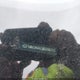 KMHLM4AG1MU096705 2021 Hyundai Elantra Sel auction photo thumbnail 9
