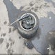 KL4CJASB6KB716496 2019 Buick Encore Fwd Preferred auction photo thumbnail 12