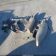 SAJDA01P81GM02644 2001 Jaguar S-Type 4.0L V8 auction photo thumbnail 12