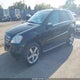 4JGBB8GB7AA601499 2010 Mercedes-Benz Ml 350 4Matic auction photo thumbnail 2