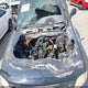 1FTRF18W73NB39036 2003 Ford F-150 Xl/Xlt auction photo thumbnail 6