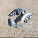 KMHDH4AE4EU149194 2014 Hyundai Elantra Limited auction photo thumbnail 12