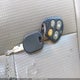 1FTEX1EW7AFB81455 2010 Ford F-150 Stx/Xl auction photo thumbnail 11