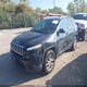 1C4PJMCB2GW118106 2016 Jeep Cherokee Latitude auction photo thumbnail 2