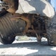 1GCRKSE73DZ143755 2013 Chevrolet Silverado 1500 Lt auction photo thumbnail 17