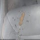 KNALD124445047254 2004 Kia Amanti auction photo thumbnail 12