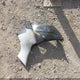 JYARJ16E5DA028336 2013 Yamaha Yzfr6 auction photo thumbnail 12