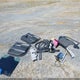 3GCUKSEC5EG345313 2014 Chevrolet Silverado 1500 2Lz auction photo thumbnail 12