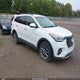 KM8SNDHF9HU238813 2017 Hyundai Santa Fe Limited auction photo thumbnail 1