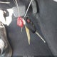 4T4BF1FK8DR283155 2013 Toyota Camry Le auction photo thumbnail 11