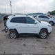 1C4PJMDS2HW532731 2017 Jeep Cherokee Limited 4X4 auction photo thumbnail 14