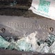 1FTFW1ET8EFA63644 2014 Ford F-150 Xlt auction photo thumbnail 9