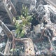 KMHEC4A49FA127978 2015 Hyundai Sonata Hybrid Limited auction photo thumbnail 5
