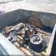 1GCEC14W1XZ169354 1999 Chevrolet Silverado 1500 auction photo thumbnail 8
