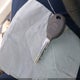 1J4GR48K65C508619 2005 Jeep Grand Cherokee Laredo/Columbia/Freedom auction photo thumbnail 11