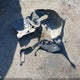 4T1K61AK1MU434029 2021 Toyota Camry Xse auction photo thumbnail 11